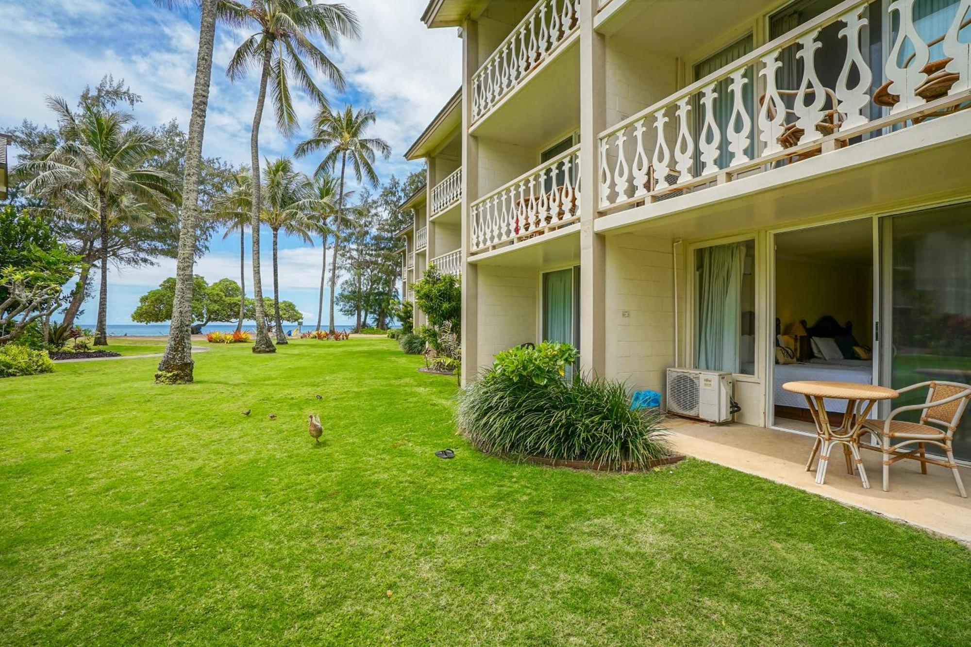 Islander On The Beach Kapa'a Rom bilde