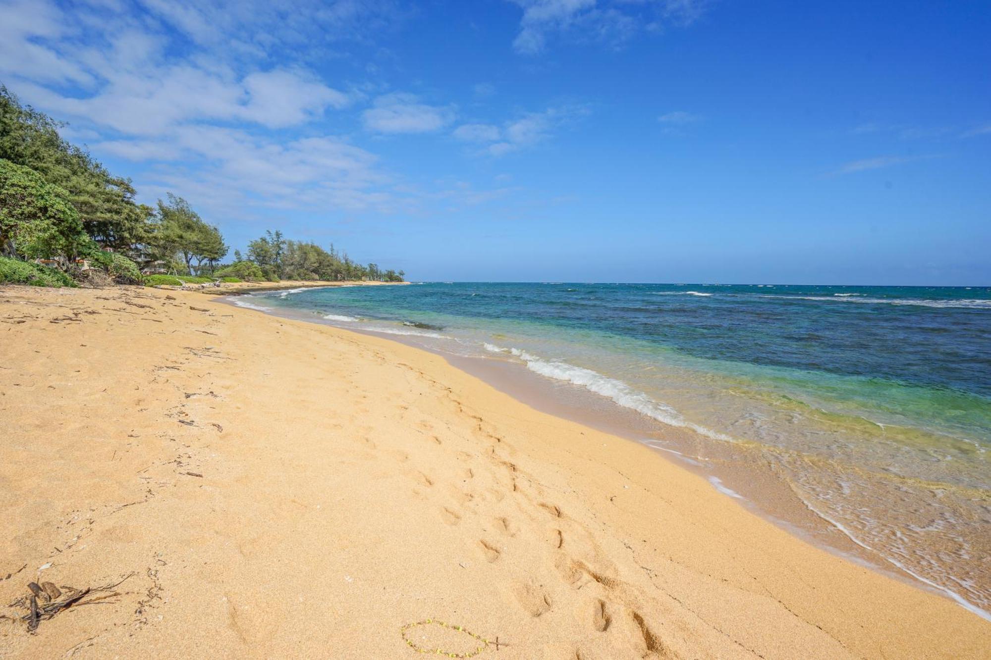 Islander On The Beach Kapa'a Rom bilde