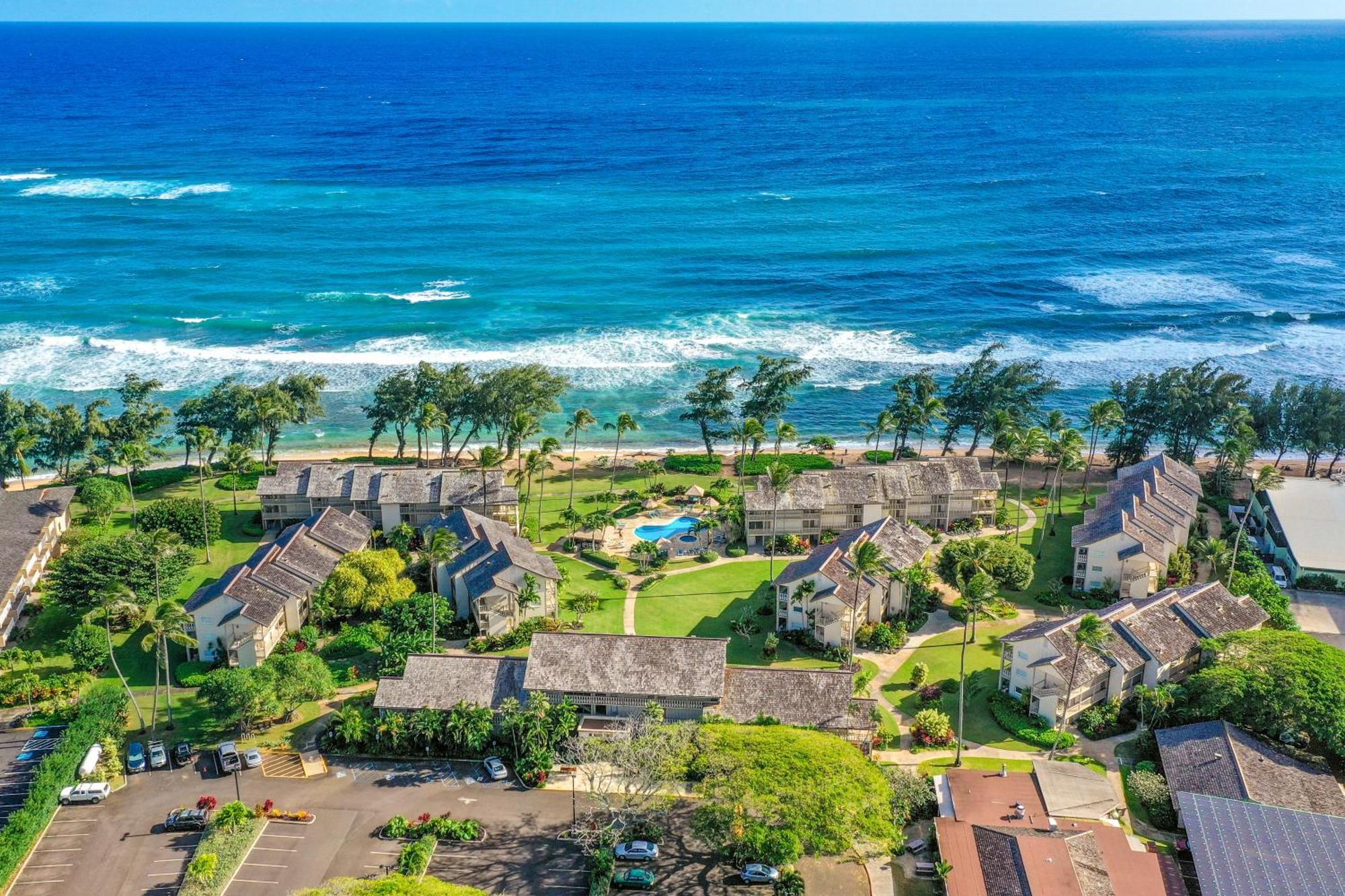 Islander On The Beach Kapa'a Rom bilde