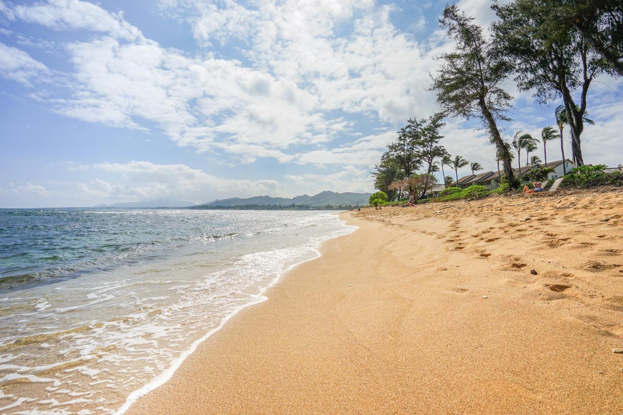 Islander On The Beach Kapa'a Rom bilde
