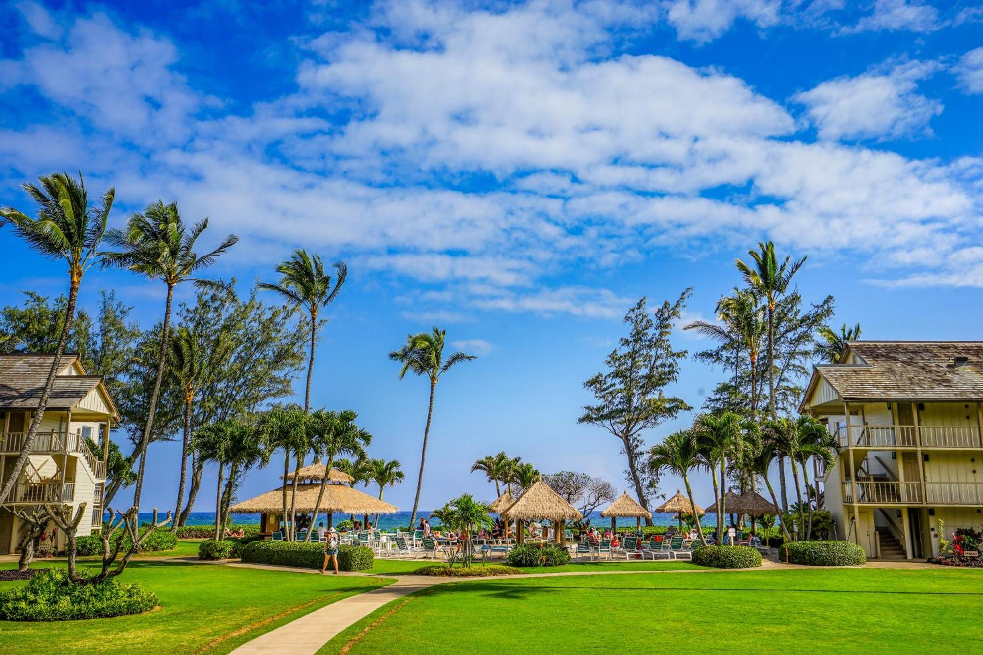 Islander On The Beach Kapa'a Rom bilde