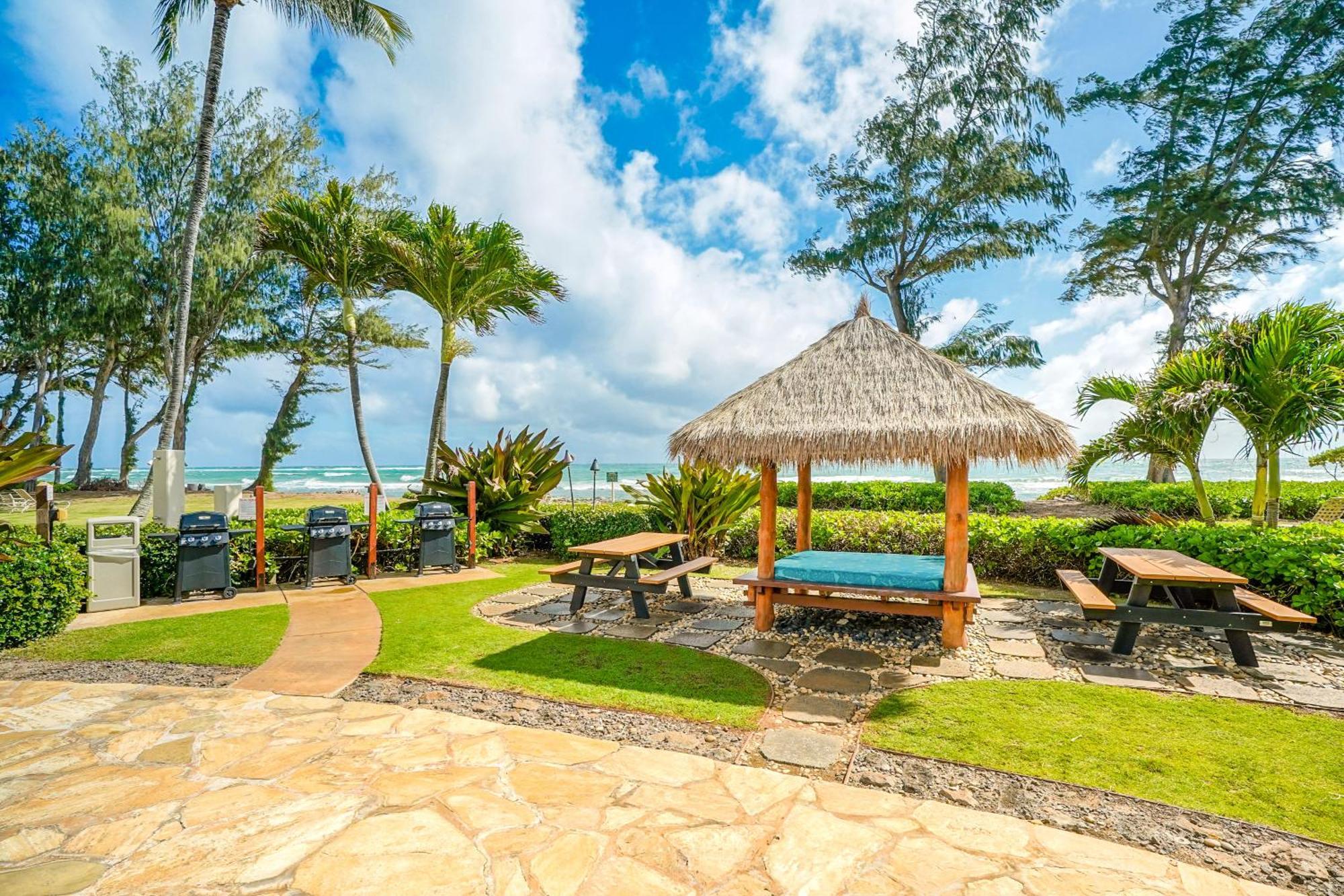 Islander On The Beach Kapa'a Rom bilde