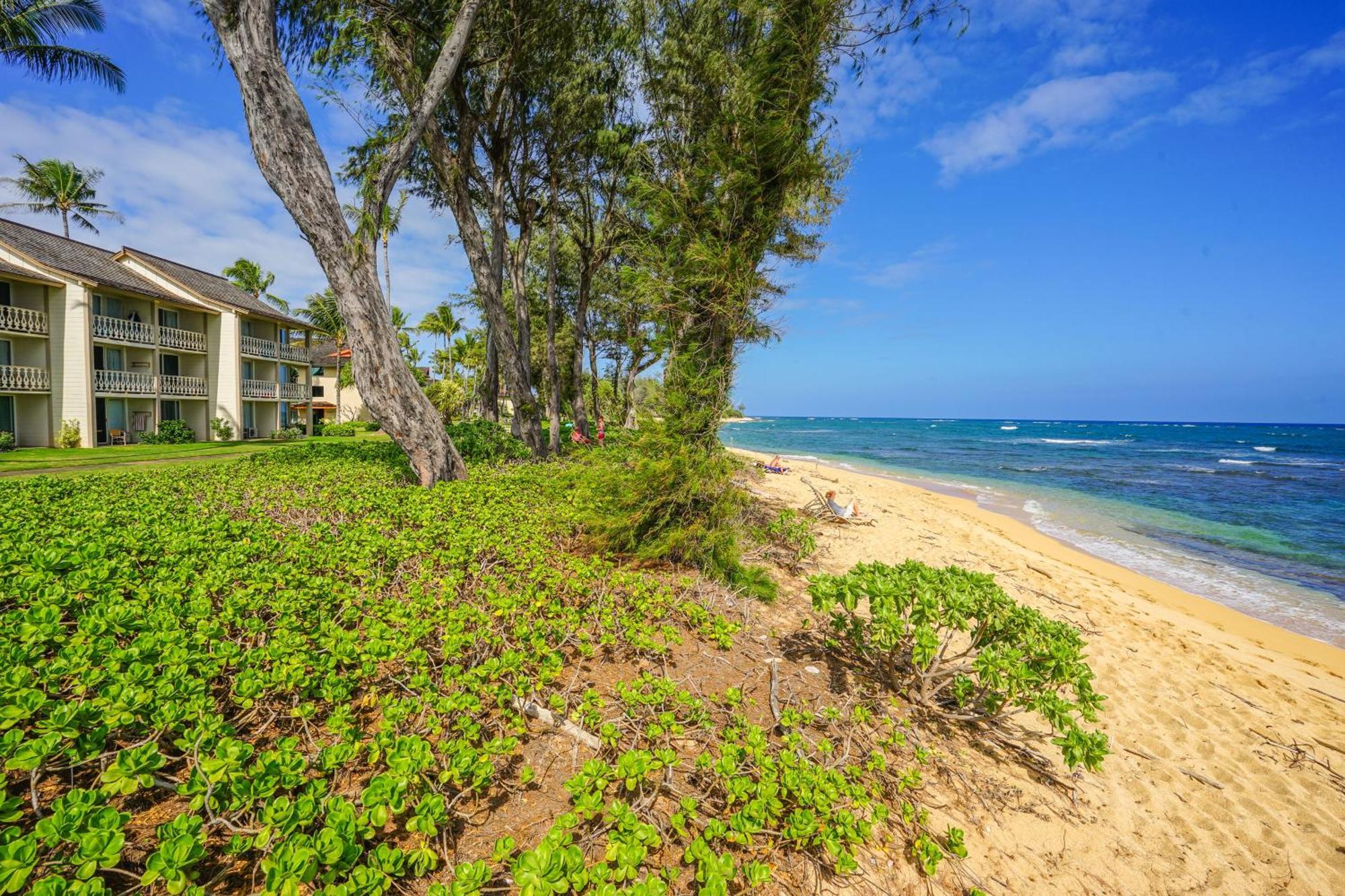 Islander On The Beach Kapa'a Rom bilde